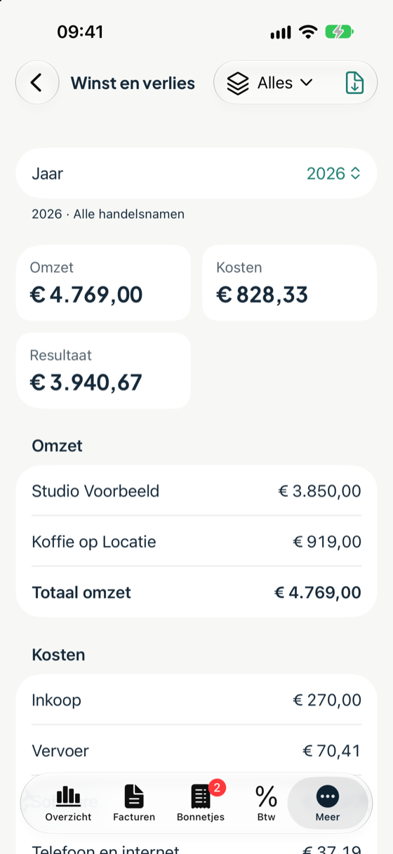 Het rapport winst en verlies